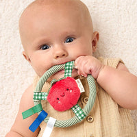 Itzy Ring Pal™ - Teething Ring with Plush Character