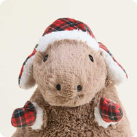 Cozy Capybara Warmies