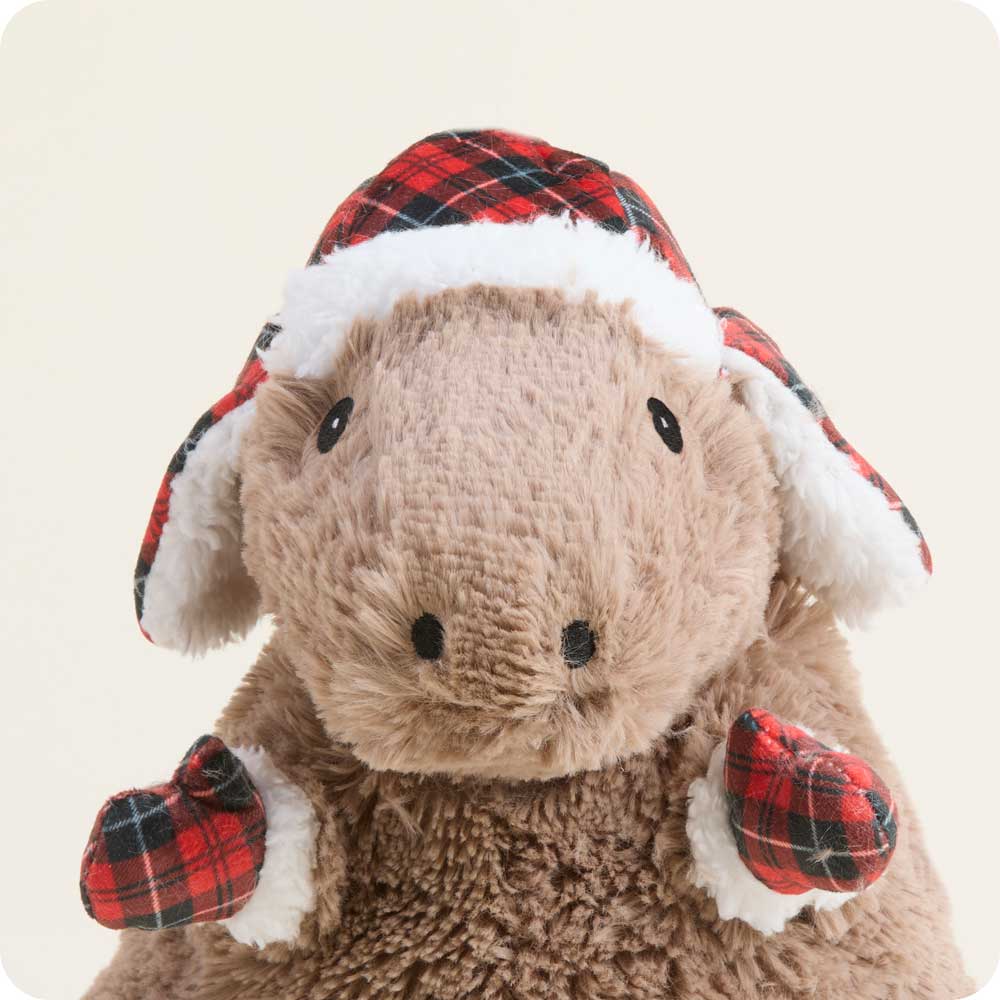 Cozy Capybara Warmies