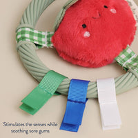 Itzy Ring Pal™ - Teething Ring with Plush Character
