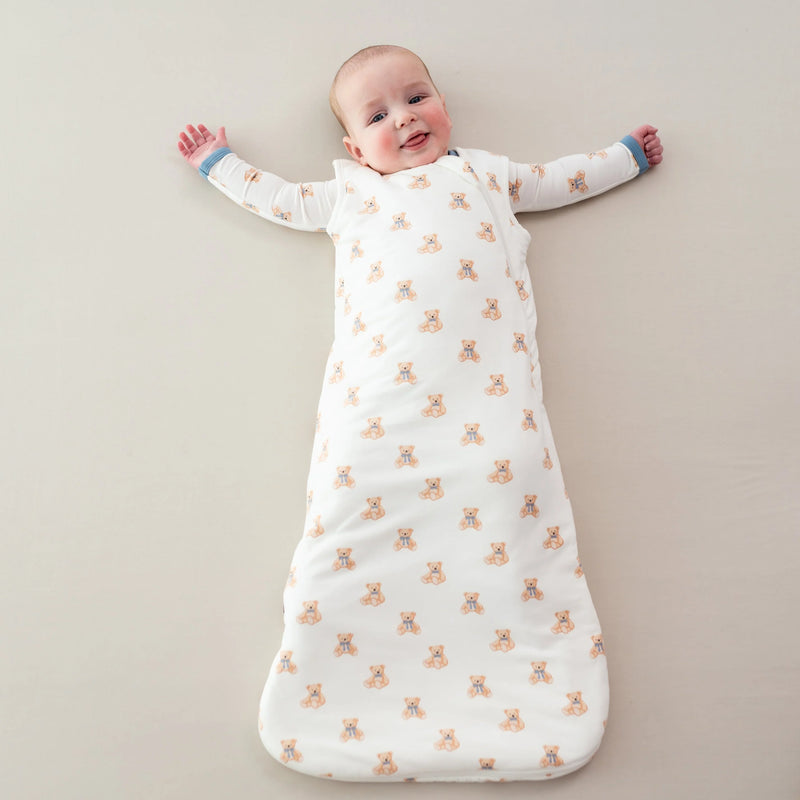 Teddy Bear Sleep Sack with Baby Blue and Brown