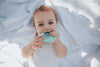 Sweetie Shake Plus™ - Teething + Rattle Toys