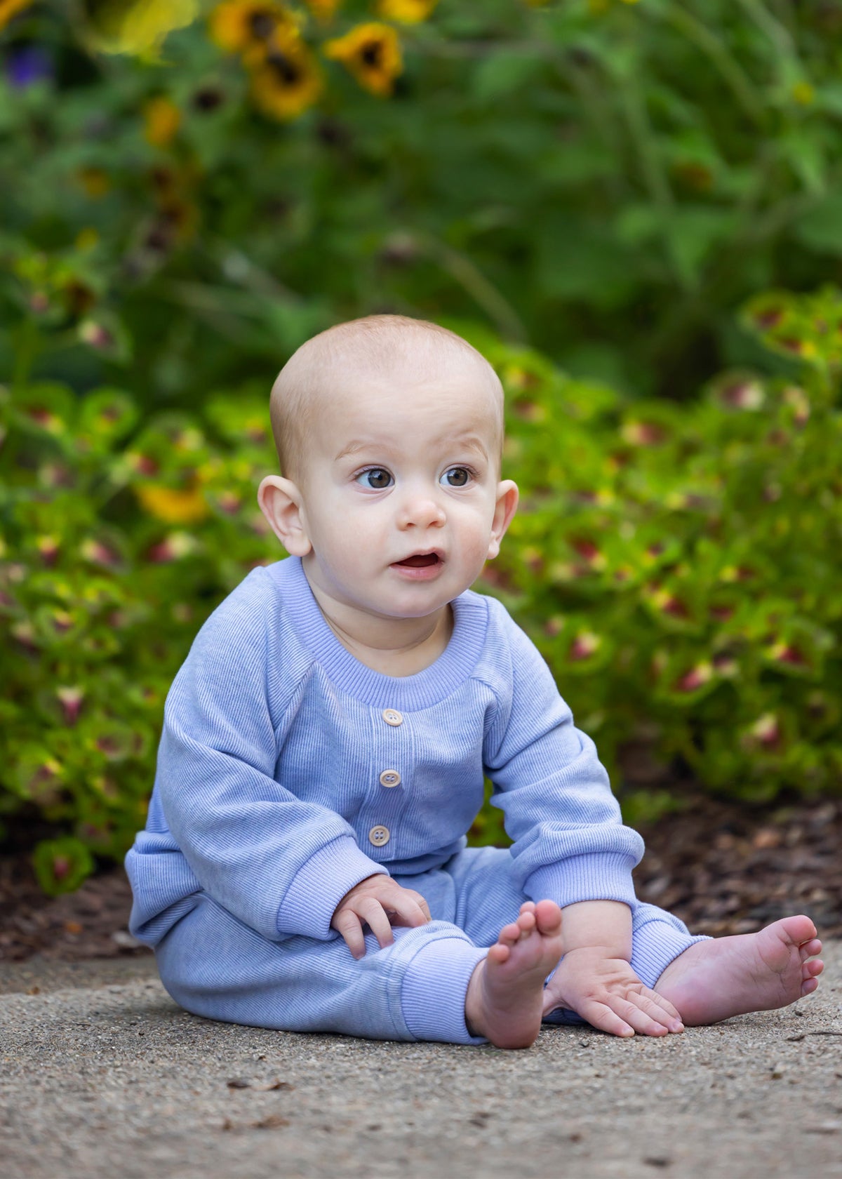 Daniel Romper