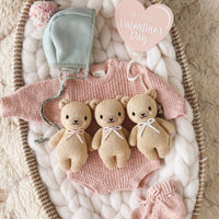 Baby Honey Bear (Blush Bow)