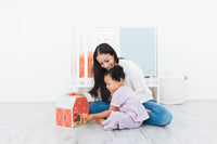 Wooden Barn Shape Sorter Toy