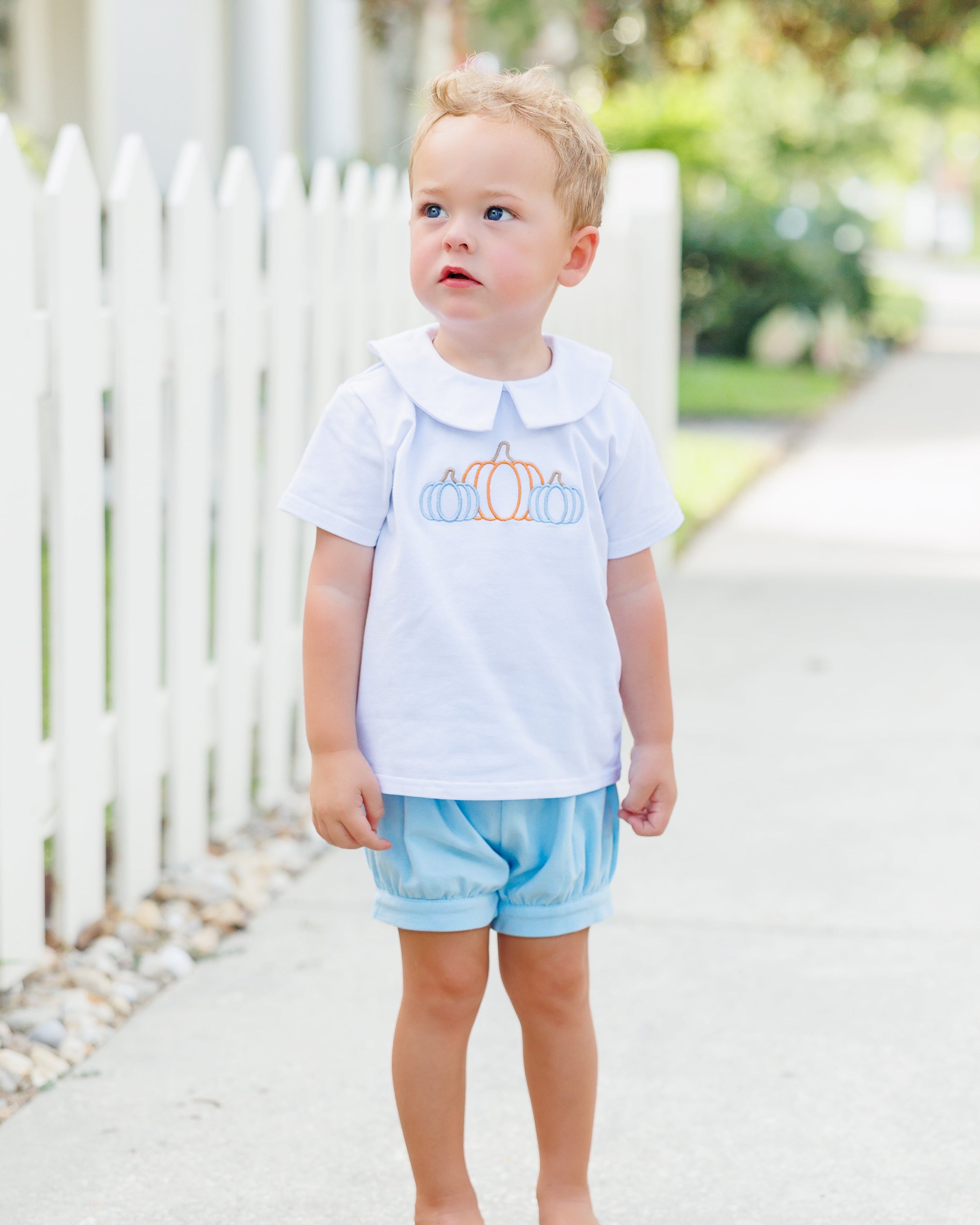 Proper Pumpkins Banded Short Set