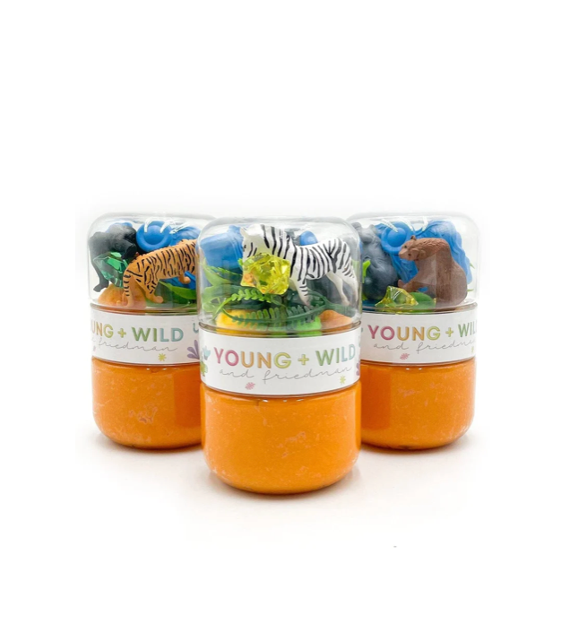 Zoo Grab & Go Dough Jar