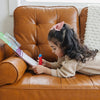 Old Testament Water Brush Reusable Activity Book