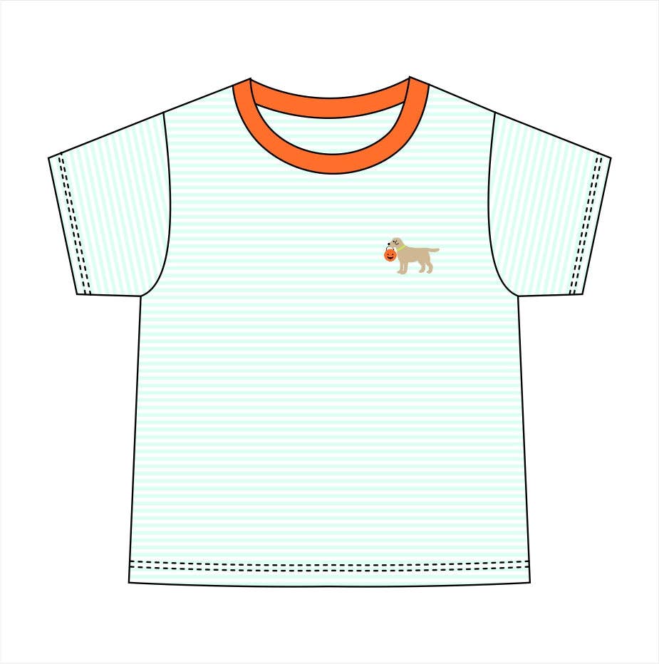 Boys Fall Mint Stripe Polo T-Shirt