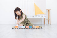 Wooden Magnetic Train Montessori Play Set