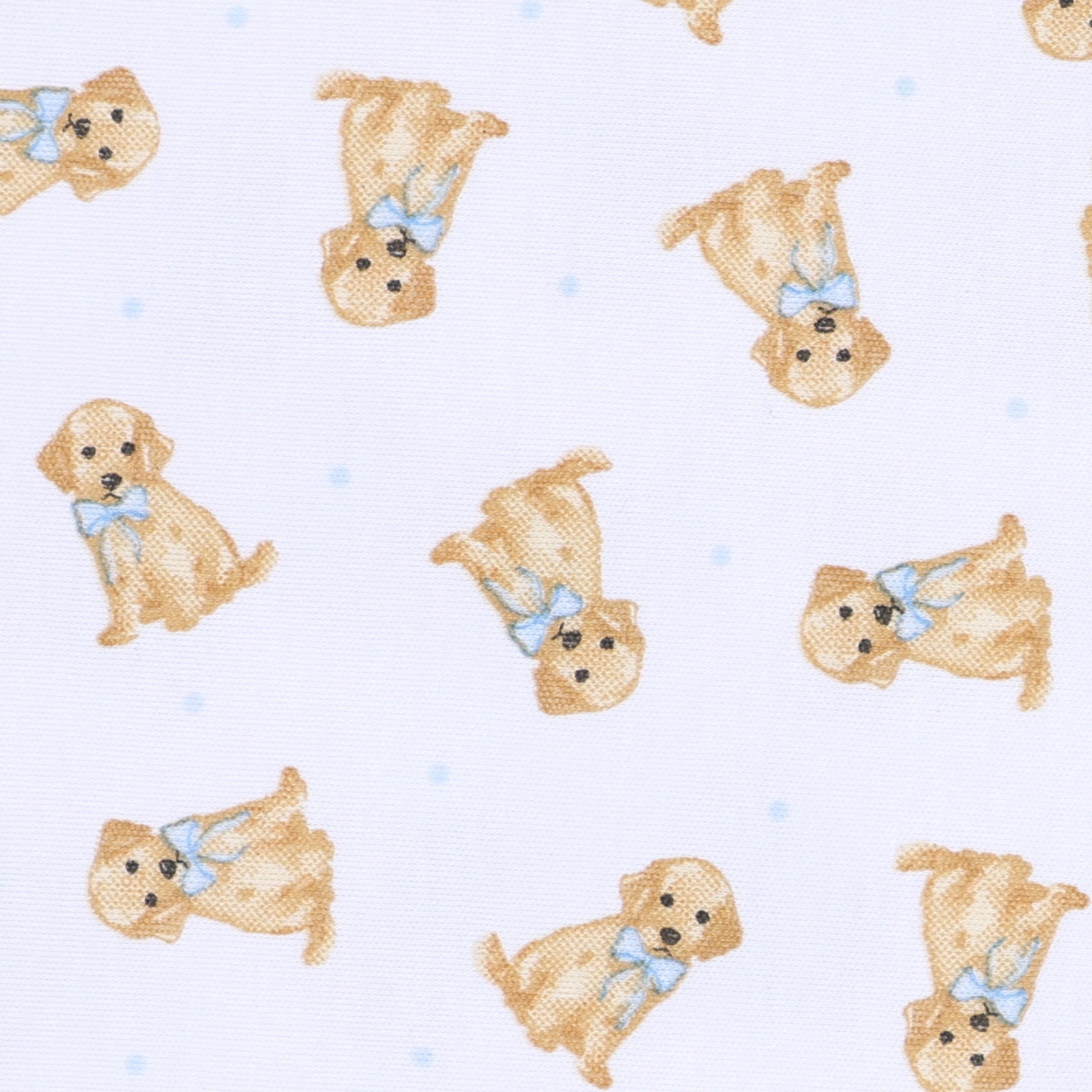 Sweet Golden Print Zip Footie - Light Blue