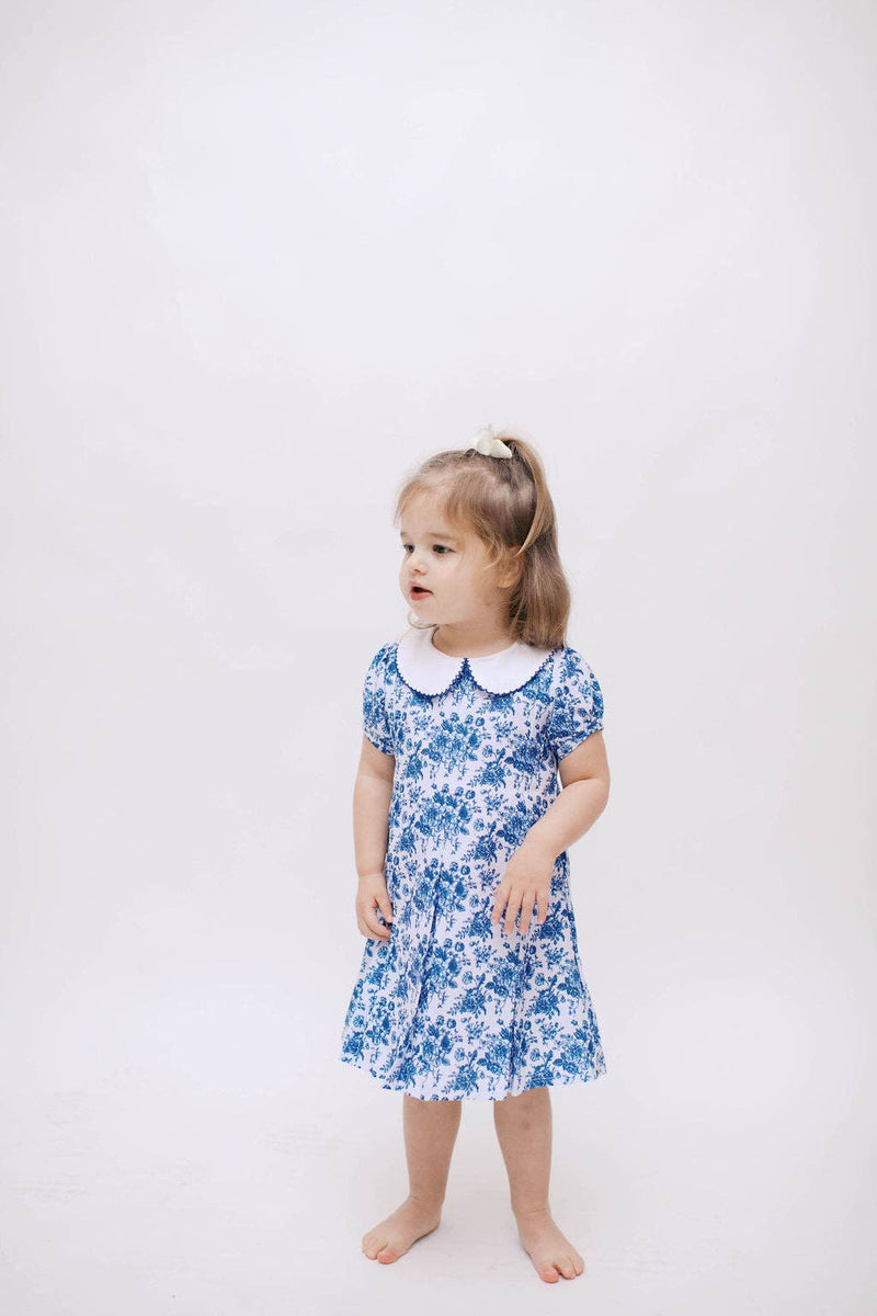 Bailey Blue Toile Dress