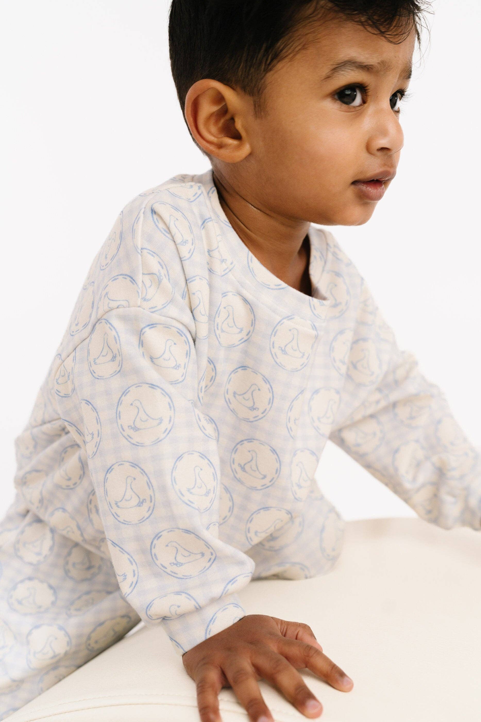 Cottage Goose Sweatsuit