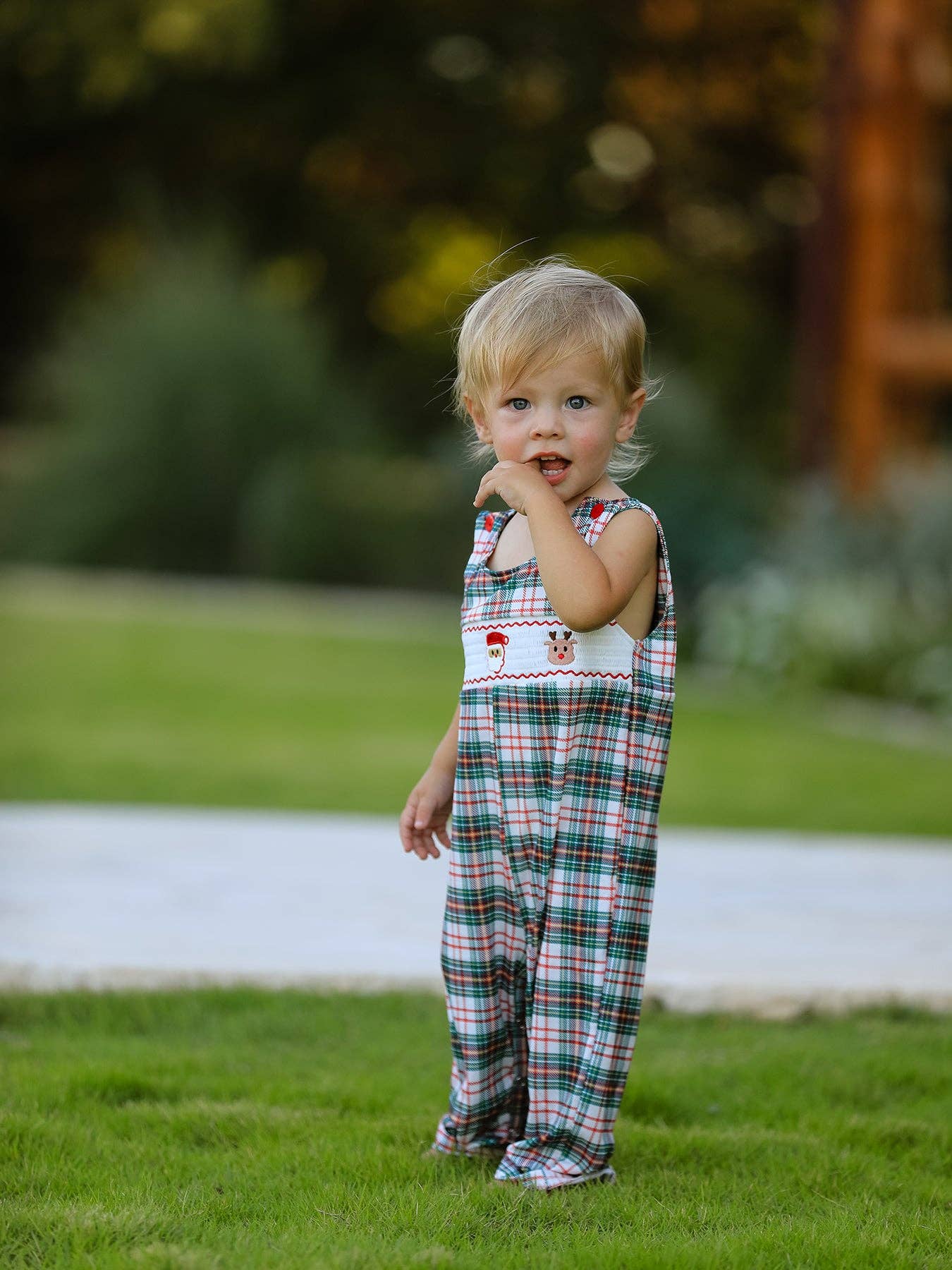 Christmas Plaid Embroidered Smock Longall
