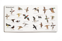 The Big Book of Hunting