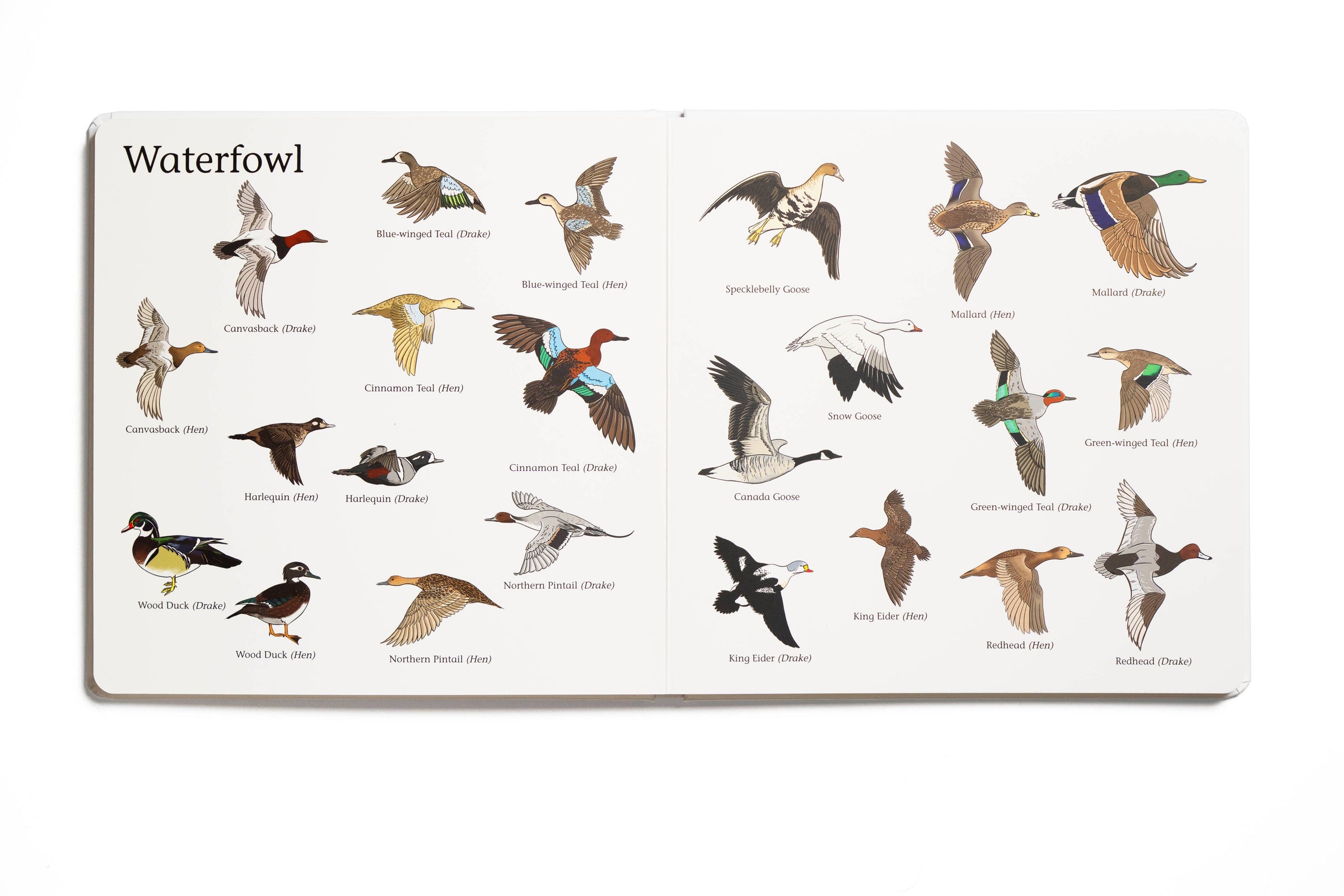 The Big Book of Hunting