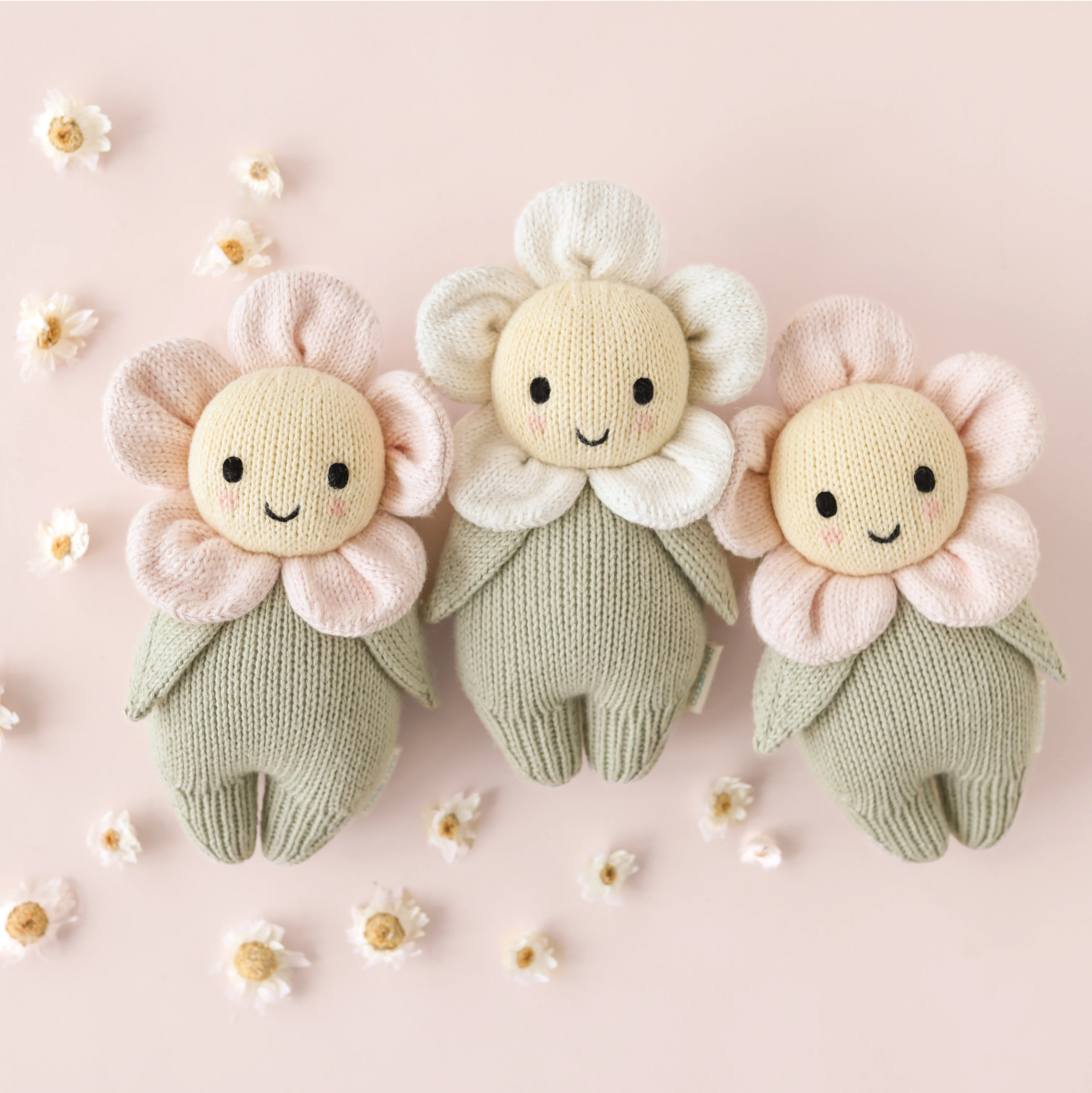 Baby Daisy (Ivory)