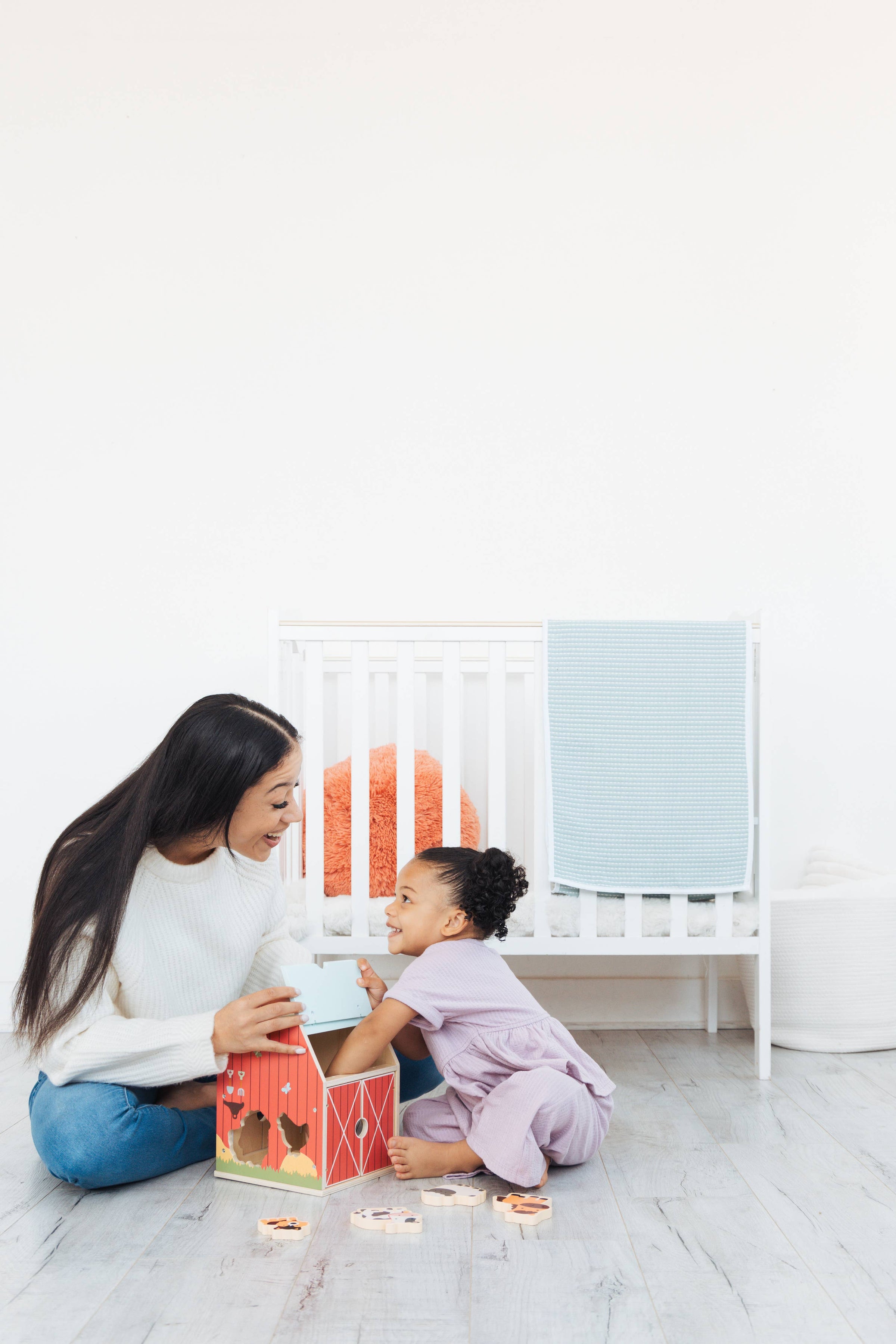 Wooden Barn Shape Sorter Toy