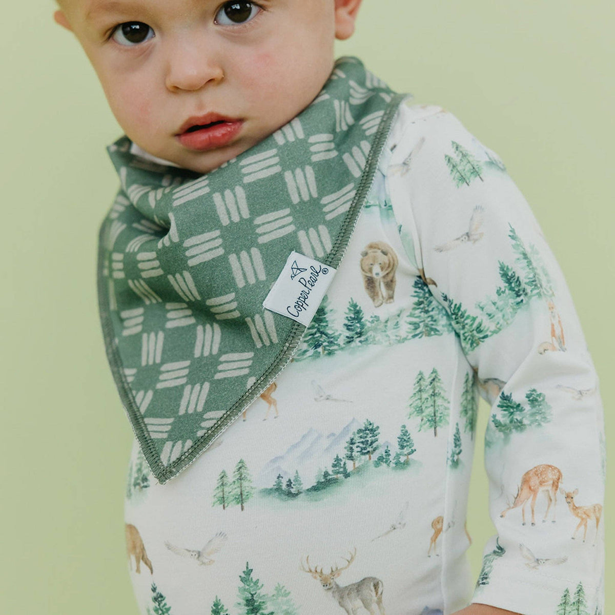 4 Pack Baby Bandana Bibs - Grayson