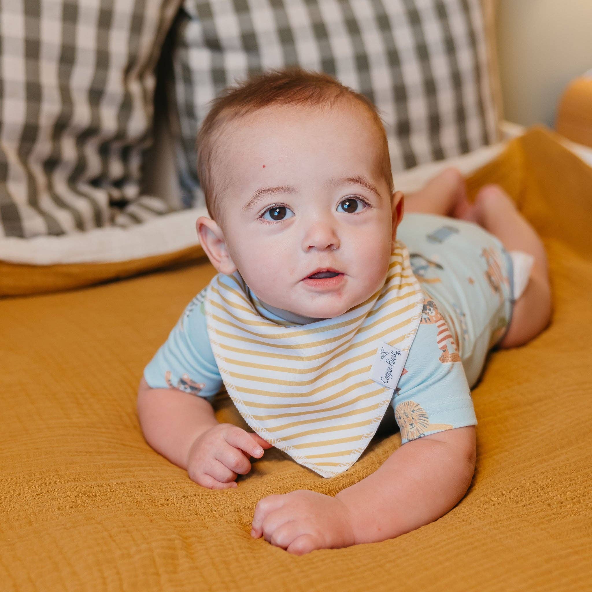 Baby Bandana Bibs - Speedster