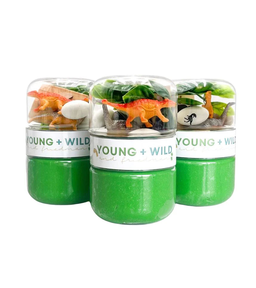 Dinosaur -  Grab & Go Dough Jars
